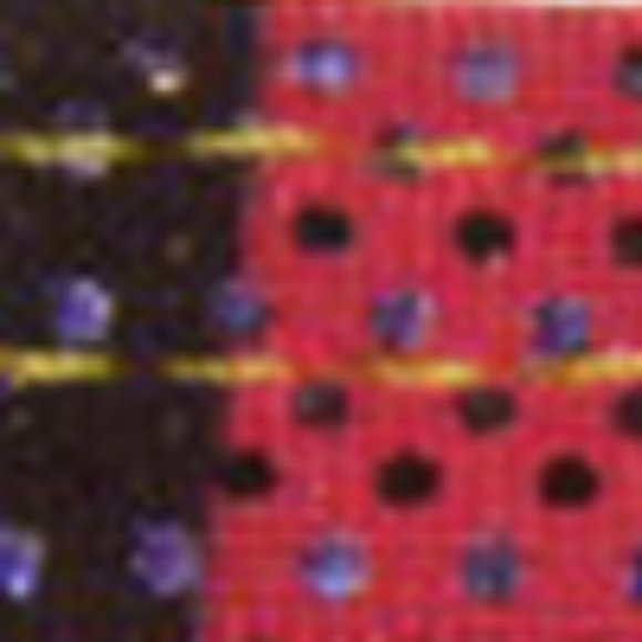 Rainbow Zebra Print Leg Thigh Wraps Body Straps - Picture 2 of 2